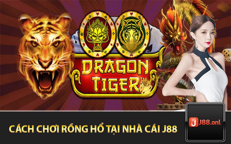 Cách Chơi Rồng Hổ Tại Nhà Cái J88