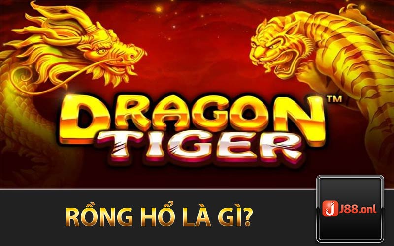 Rồng Hổ Là Gì?